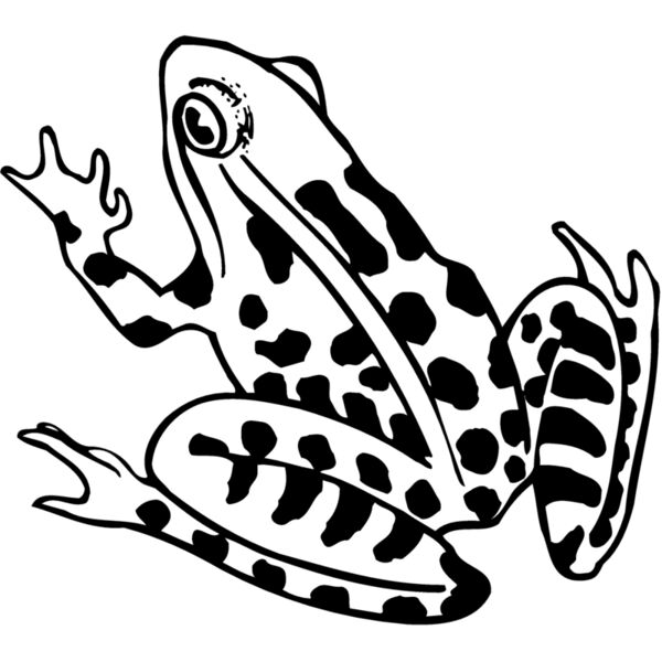 FROG01 Thumbnail