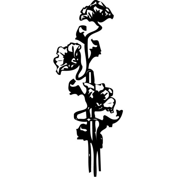 FLOWER33 Thumbnail