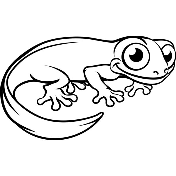 Newt   Clipart 3 Thumbnail
