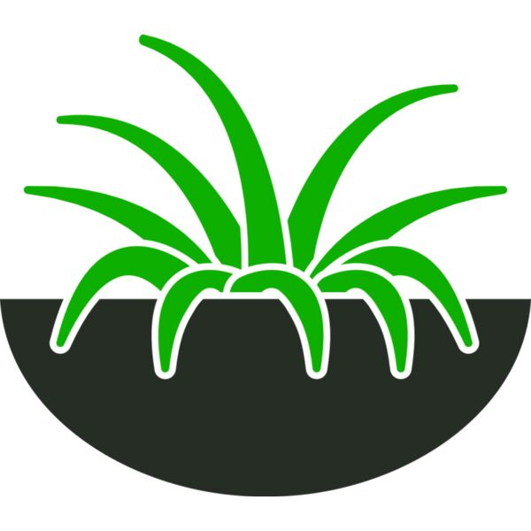 Plants 6 Thumbnail