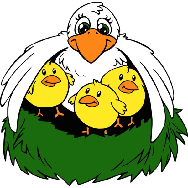 chicks1 Thumbnail