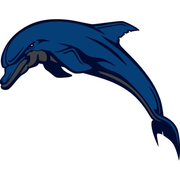 dolphin32 Thumbnail