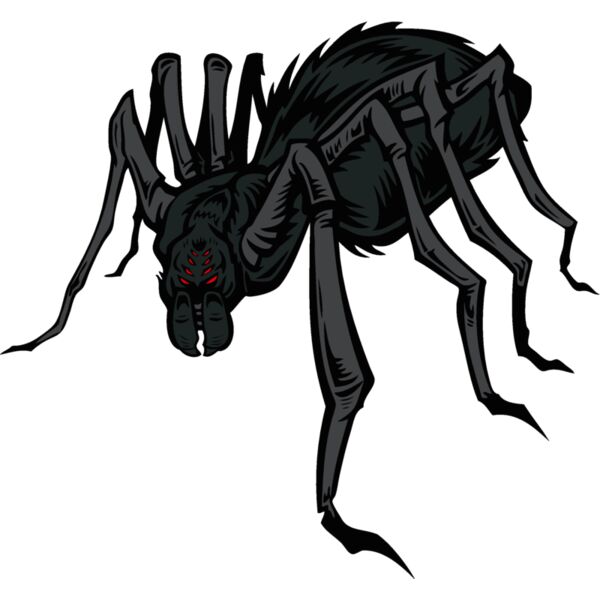 es2spider004clr Thumbnail