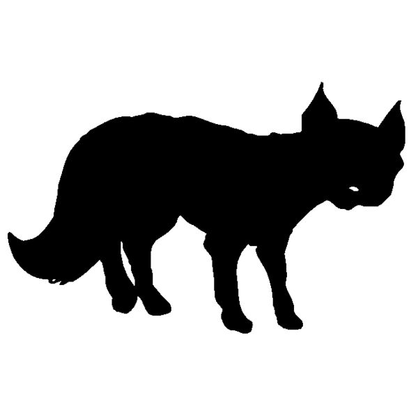 fox01 Thumbnail
