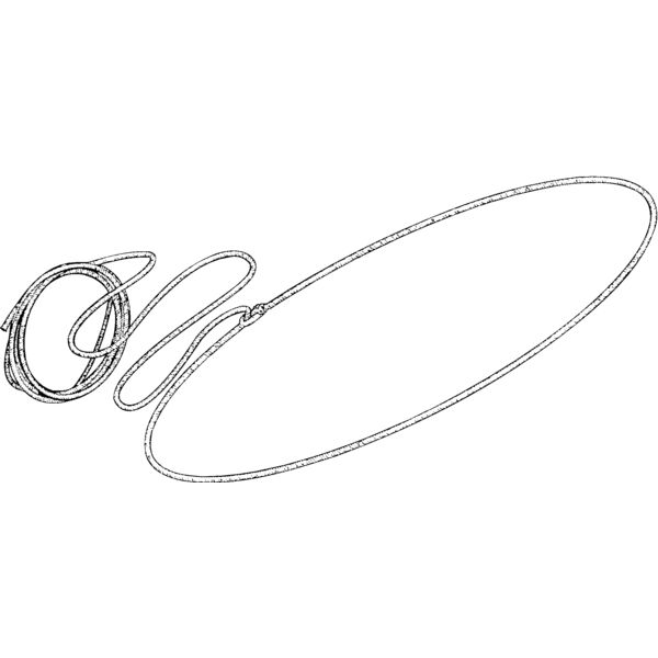 lasso Thumbnail