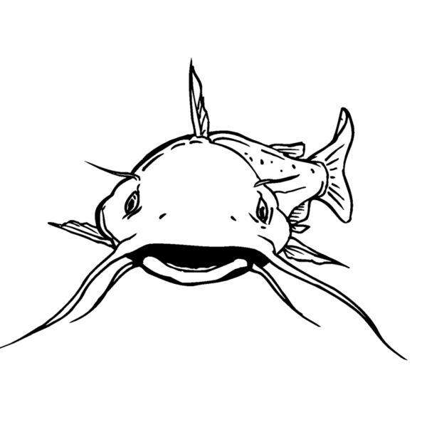 catfish1 Thumbnail