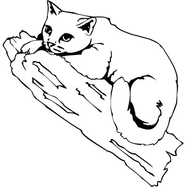 cat on a Thumbnail