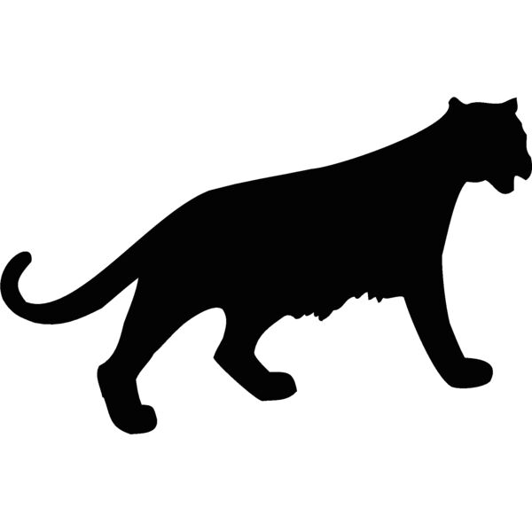 catsil Thumbnail