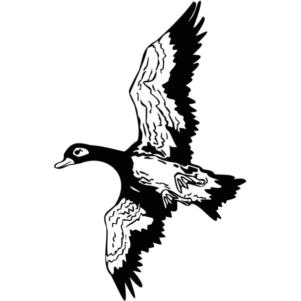 goose1 Thumbnail