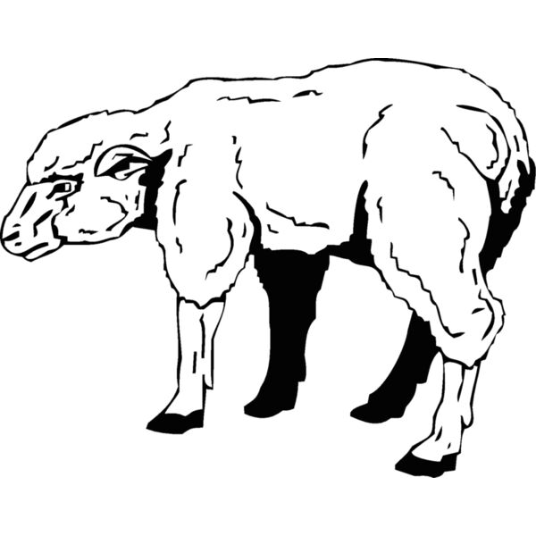 lamb Thumbnail