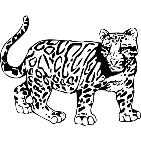 jaguar1 Thumbnail