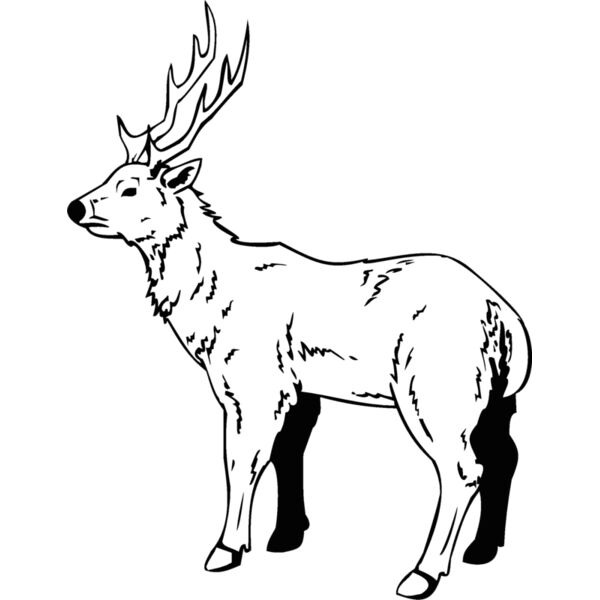buck2 Thumbnail