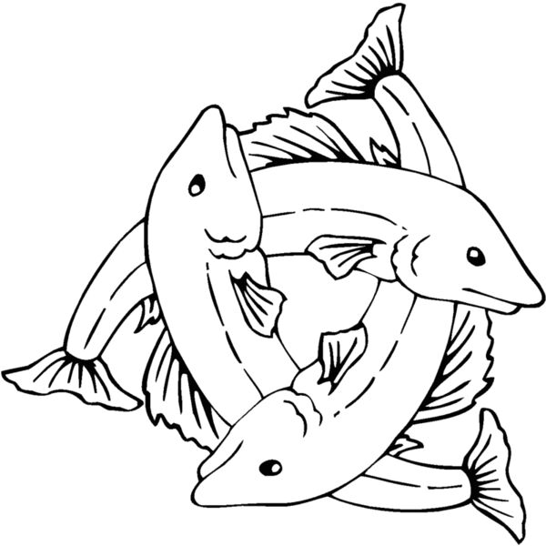3fish Thumbnail