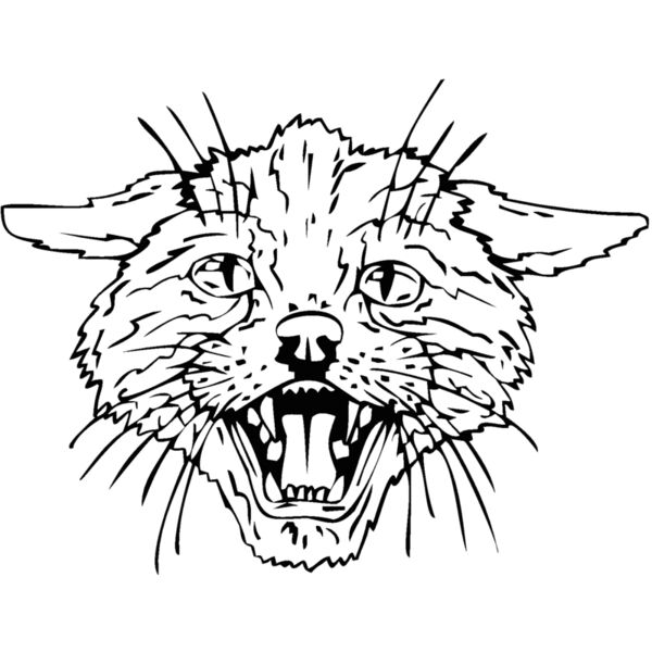 catface Thumbnail