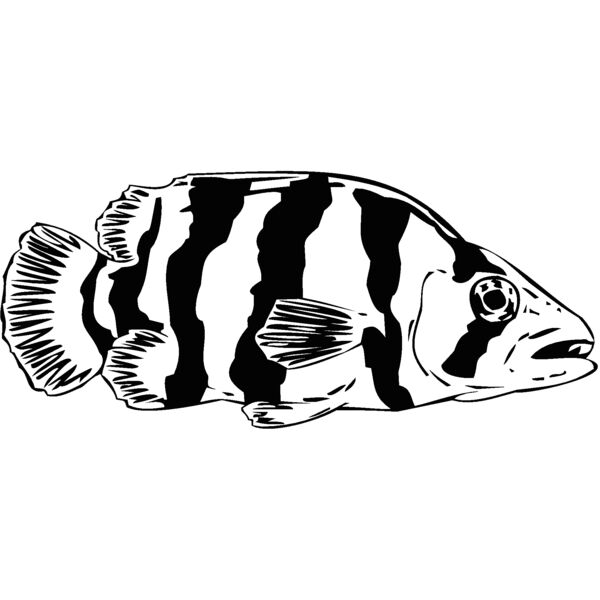 fish7 Thumbnail