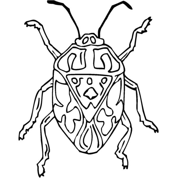 harlequi Thumbnail