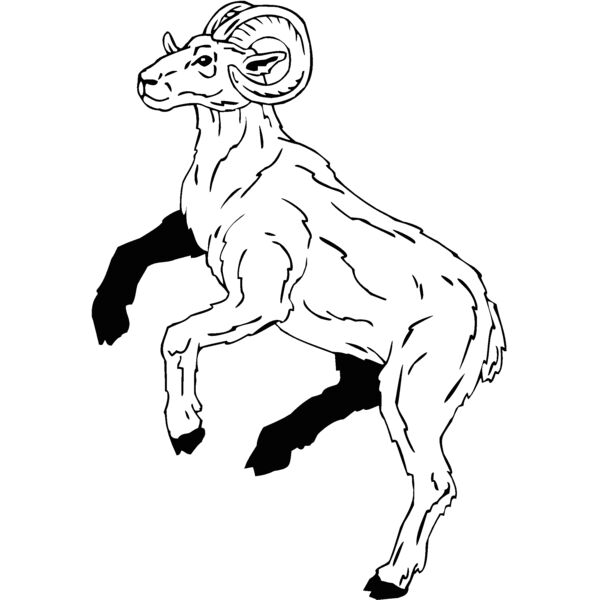 ram Thumbnail