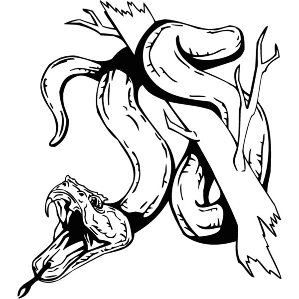 snake Thumbnail