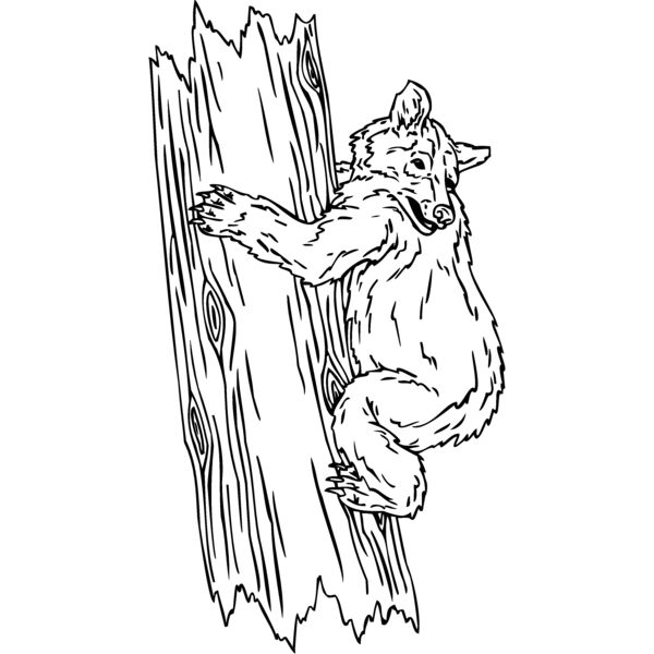 koala3 Thumbnail