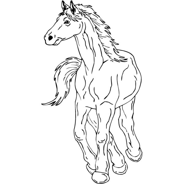 horse10 Thumbnail