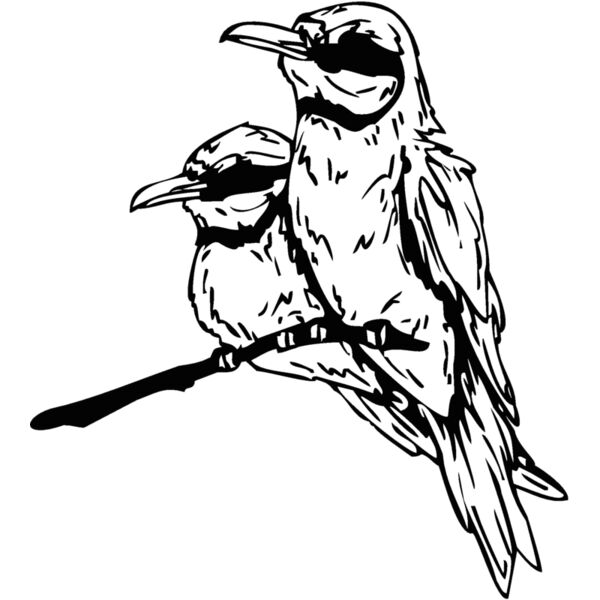 two birds Thumbnail