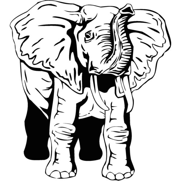 elephan2 Thumbnail