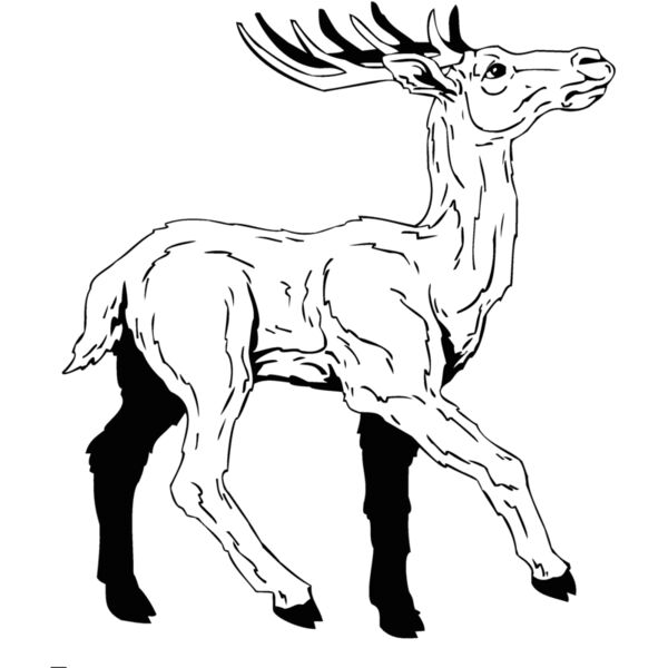 caribou4 Thumbnail