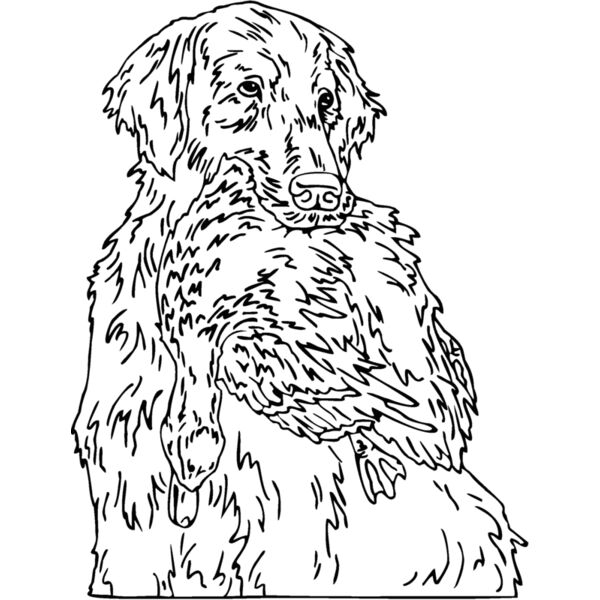 retrieve Thumbnail