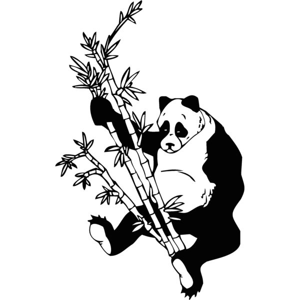 panda Thumbnail