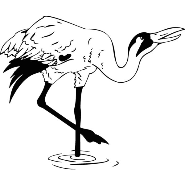 bird6 Thumbnail