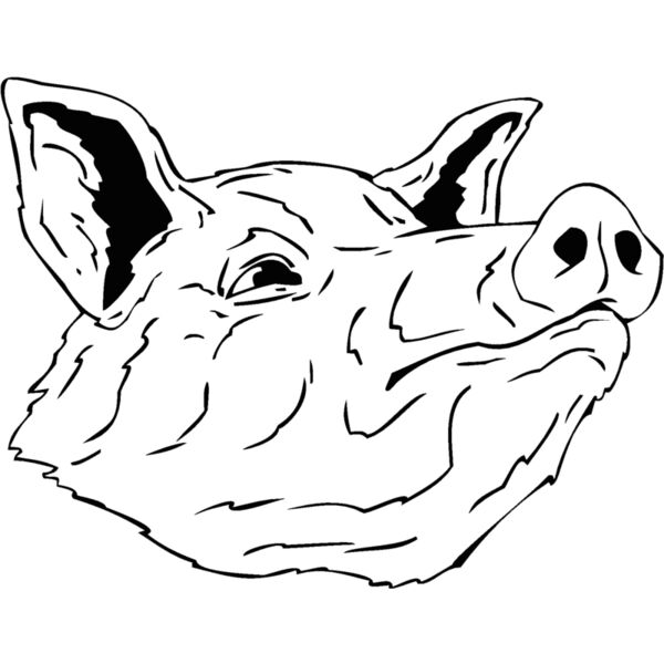pig Thumbnail