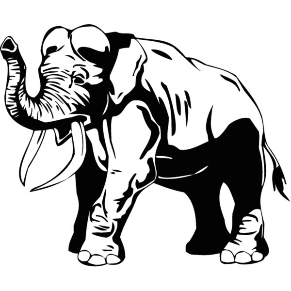 elephant Thumbnail