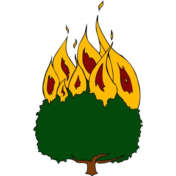 burningbush01 Thumbnail