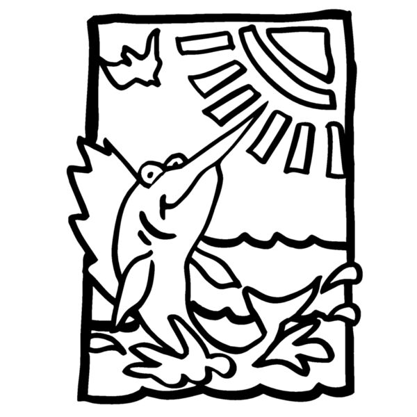 sailfish Thumbnail