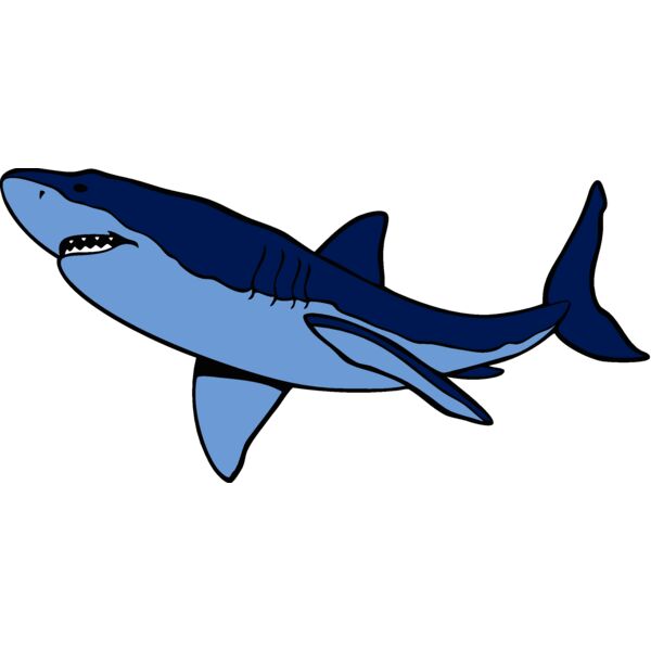 shark17 Thumbnail