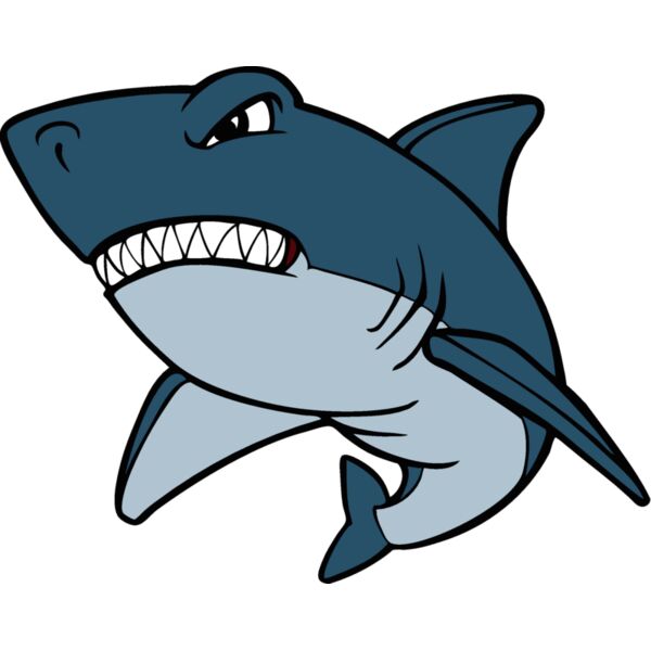 shark8 Thumbnail