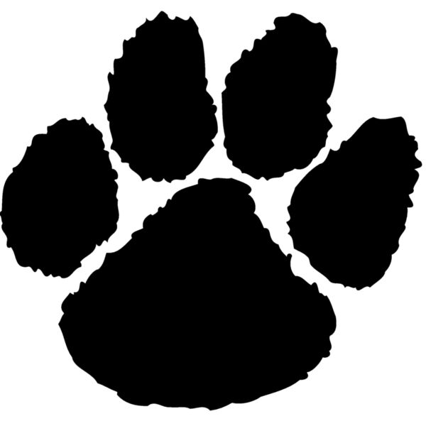 paw Thumbnail