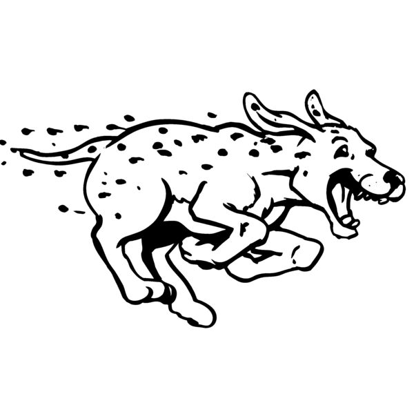 dalmation Thumbnail
