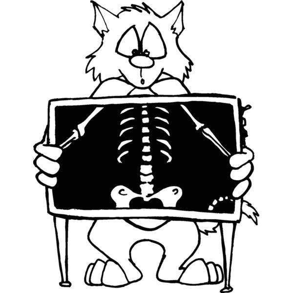 catxray Thumbnail