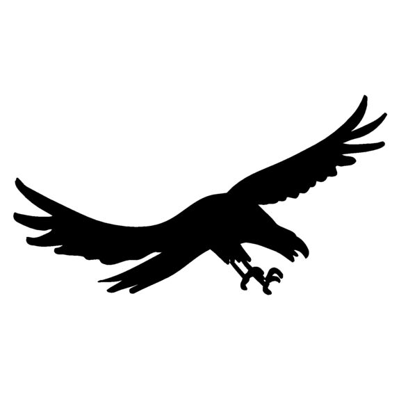 eagle26 Thumbnail