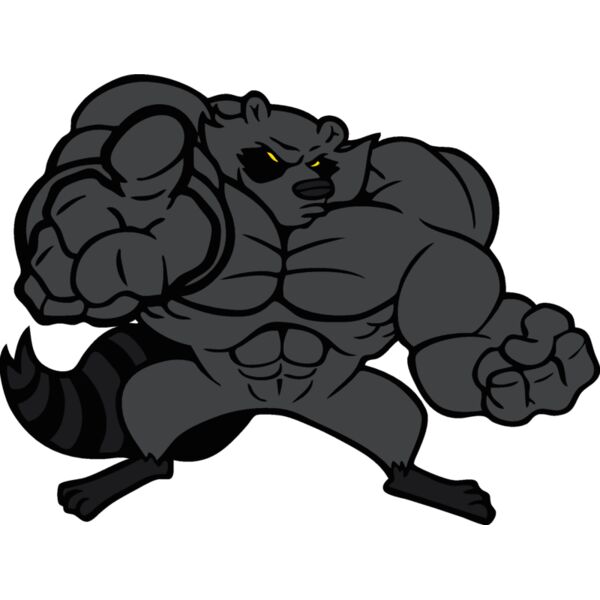 raccoonm2 Thumbnail
