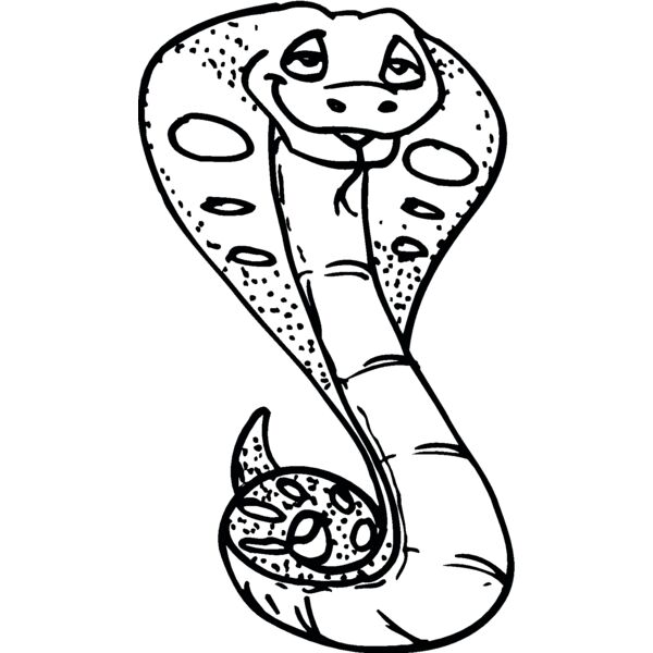 cobra2 Thumbnail