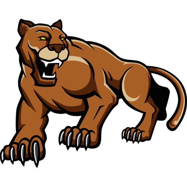 cougarc20 Thumbnail
