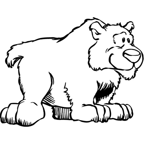 bear45 Thumbnail