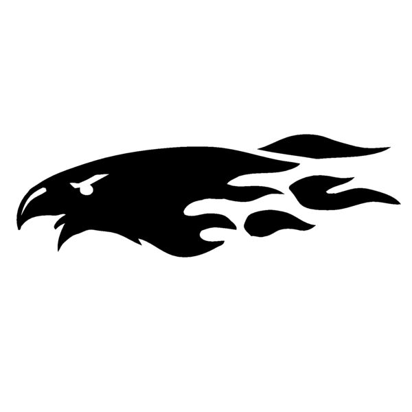 eagle27 Thumbnail