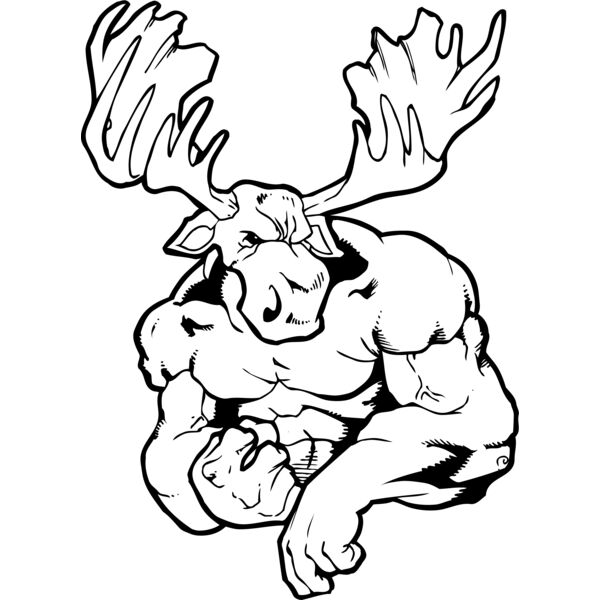 moosms Thumbnail