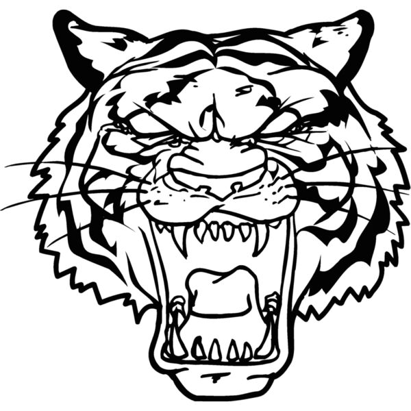 tigerhd8 Thumbnail
