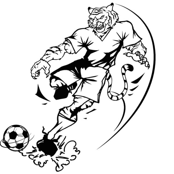 tigerscr1 Thumbnail