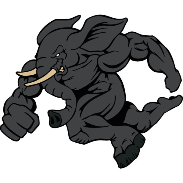 elephant3 Thumbnail