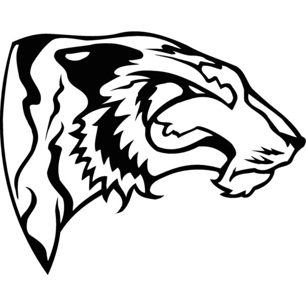 tigerhd15 Thumbnail